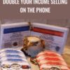 Double Your Income Selling On The Phone E28093 Stan Billue » Courses[GB]