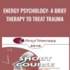 Energy Psychology: A Brief Therapy to Treat Trauma - Robert Schwarz