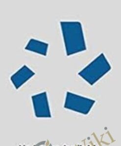 Theory and Practice of Counseling and Psychotherapy - The Case of Stan and the Lecturettes - Gerald Corey