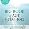 The Big Book of ACT Metaphors, A Practitioner’s Guide to Experiential Exercises and Metaphors in Acceptance and Commitment Therapy - Jill A. Stoddard and Niloofar Afari