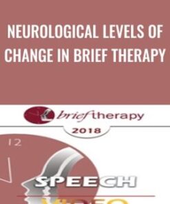 Neurological Levels of Change in Brief Therapy - Robert Dilts