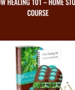 Now Healing 101 – Home Study Course - Elma Mayer