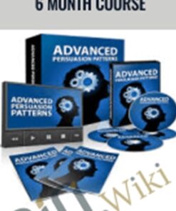 Advanced Persuasion Patterns 6 month course – Rintu Basu