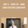 SSPT 2 – WEEK 10 – Long Term Effective Creativity