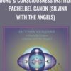 Sound & Consciousness Institute - Pachelbel Canon (Silvina with the Angels)
