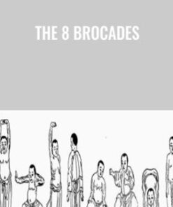 The 8 Brocades - Flowing Zen