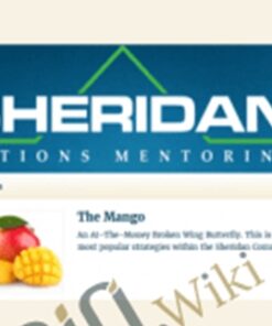 The Mango Trade 2017 – Dan Sheridan