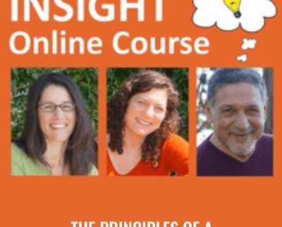 The Principles of a Fulfilling & High-Performance Life - InSight