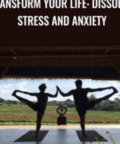 Transform Your Life: Dissolve Stress and Anxiety - Mike Dannheim