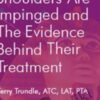 Why All Painful Shoulders Are Impinged the Evidence Behind Their Treatment » Courses[GB]