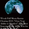 Wesak Full Moon Karma Clearing 2019: ”Clear Your Ability to Manifest”: The Most Important Date of the Year for Removing Blocks to Enlightenment