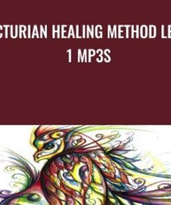 Arcturian Healing Method Level 1 mp3s