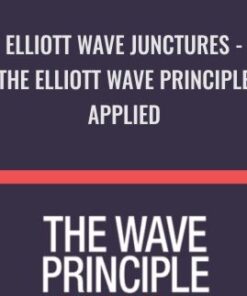 Elliott Wave Junctures - The Elliott Wave Principle Applied - Jeffrey Kennedy