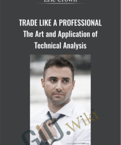 Trade Like a Professional - The Art and Application of Technical Analysis
