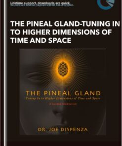 The Pineal Gland -Tuning In To Higher Dimensions of Time and Space - Dr. Joe Dispenza