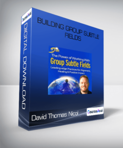 David Thomas Nicol - Building Group Subtle Fields