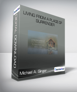 Michael A. Singer - Living From A Place Of Surrender