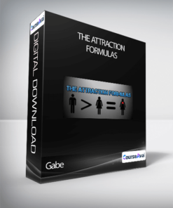 Gabe - The Attraction Formulas