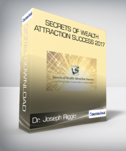 Dr. Joseph Riggio - Secrets of Wealth Attraction Success 2017