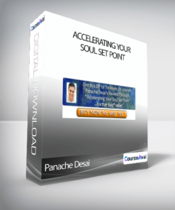 Accelerating your Soul Set Point-Panache Desai