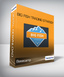 Basecamp - Big Fish Trading Strategy