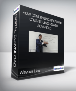 Waysun Liao - How Condensing Breathing Creates Jing Power - ADVANCED
