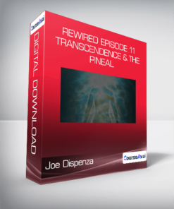 Joe Dispenza - Rewired Episode 11: Transcendence & the Pineal