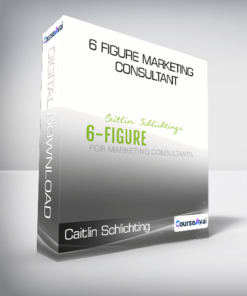 Caitlin Schlichting - 6 Figure Marketing Consultant