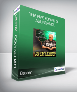 Bashar - The Five Forms of Abundance