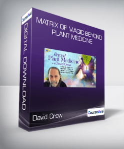 David Crow - Matrix of Magic Beyond Plant Medicine