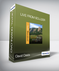 David Deida - Live from Boulder