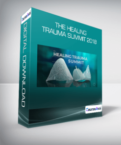 The Healing Trauma Summit 2018