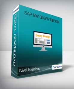 Nivel Experto - SAP BW Query Design