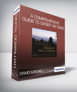 Damo Mitchell - A Comprehensive Guide to Daoist Nei Gong