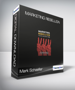 Mark Schaefer - Marketing Rebellion