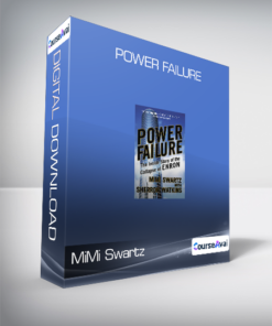 MiMi Swartz - Power Failure