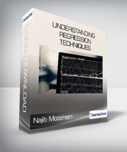 Najib Mozahem - Understanding Regression Techniques