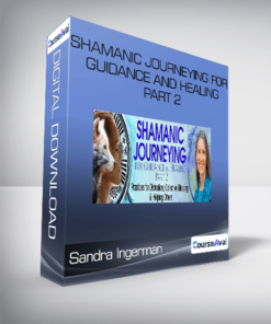 Sandra Ingerman - Shamanic Journeying For Guidance And Healing Part 2