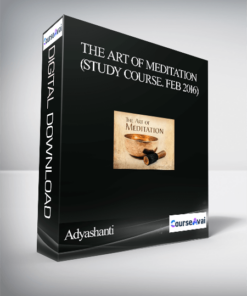 Adyashanti – The Art of Meditation (Study Course. Feb 2016)