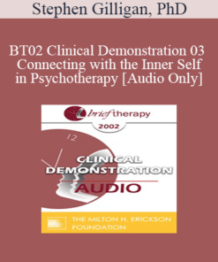 [Audio Only] BT02 Clinical Demonstration 03 - Connecting with the Inner Self in Psychotherapy - Stephen Gilligan
