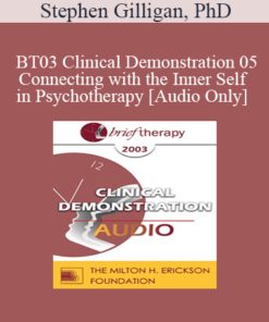[Audio Only] BT03 Clinical Demonstration 05 - Connecting with the Inner Self in Psychotherapy - Stephen Gilligan