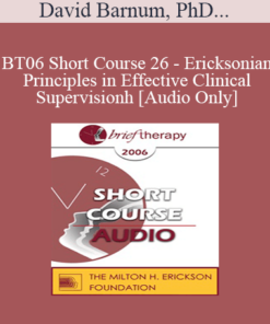 [Audio Only] BT06 Short Course 26 - Ericksonian Principles in Effective Clinical Supervision: Teaching Therapy from the Inside Out - David Barnum