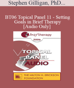 [Audio Only] BT06 Topical Panel 11 - Setting Goals in Brief Therapy - Stephen Gilligan