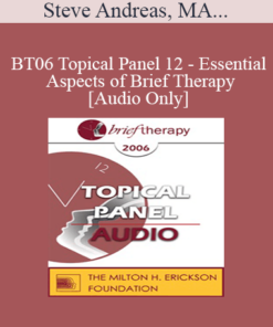 [Audio Only] BT06 Topical Panel 12 - Essential Aspects of Brief Therapy - Steve Andreas