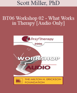 [Audio Only] BT06 Workshop 02 - What Works in Therapy: Translating 40 Years of Outcome Research into Empirically Supported Therapeutic Strategies - Scott Miller