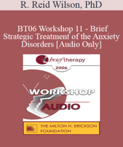 [Audio Only] BT06 Workshop 11 - Brief Strategic Treatment of the Anxiety Disorders - R. Reid Wilson