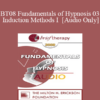 [Audio Only] BT08 Fundamentals of Hypnosis 03 - Induction Methods I - Stephen Gilligan