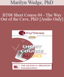[Audio Only] BT08 Short Course 04 - The Way Out of the Cave: Using Language to Generate Solutions in Brief Therapy - Marilyn Wedge