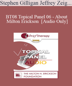 [Audio Only] BT08 Topical Panel 06 - About Milton Erickson - Stephen Gilligan