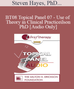 [Audio Only] BT08 Topical Panel 07 - Use of Theory in Clinical Practice - Steven Hayes